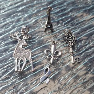 Set of 4 Charm Set